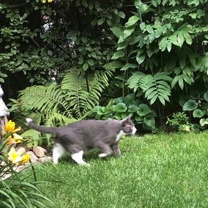 Meet your Posher, Michelle